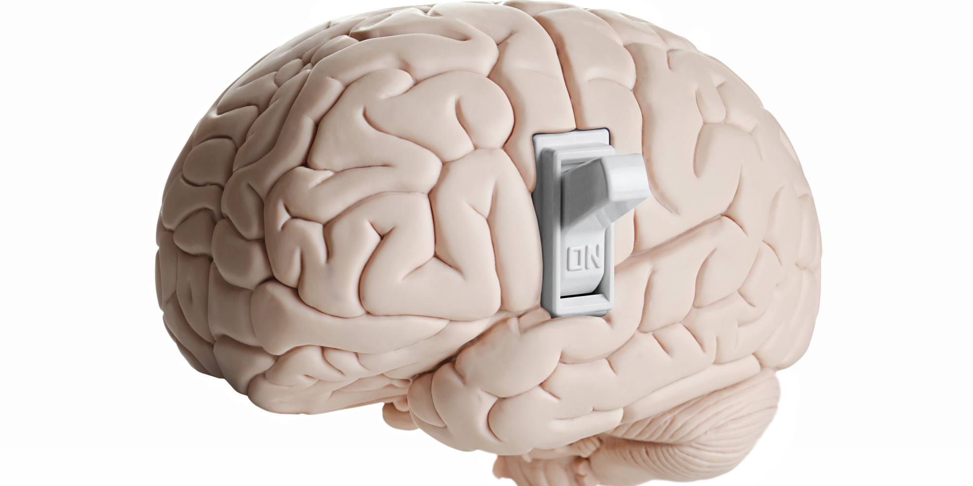 WiTcast Special – รีวิว Breakthrough ตอน Decoding the Brain