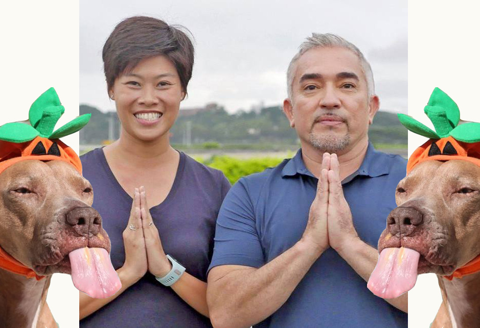 WiTdaily 011-คุยกับแน็ท นักปรับพฤติกรรมหมา