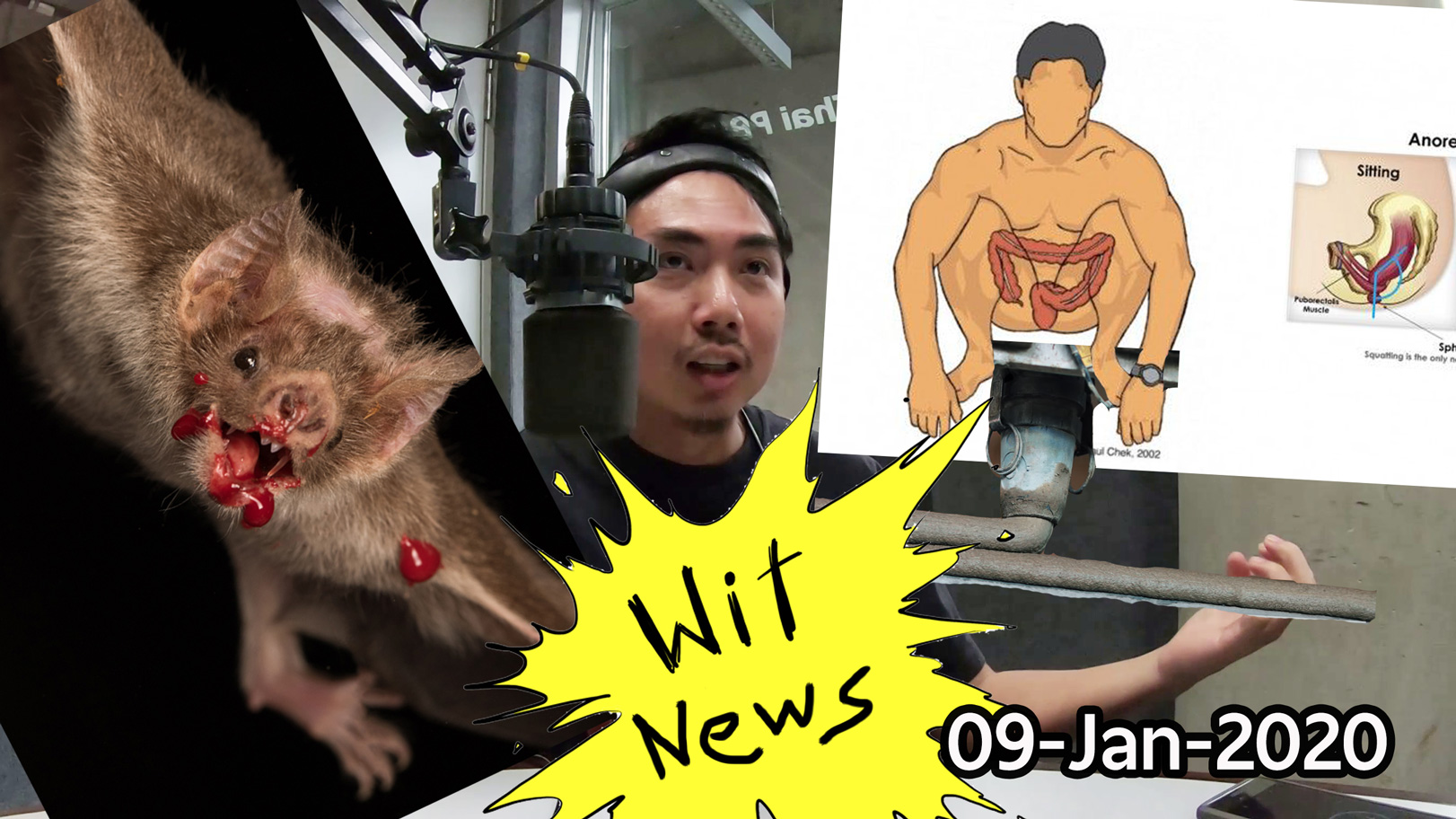 WiT News 01/09/2020 – 3D Printing / ท่านั่งขี้ / มิตรภาพในหมู่ค้างคาวดูดเลือด