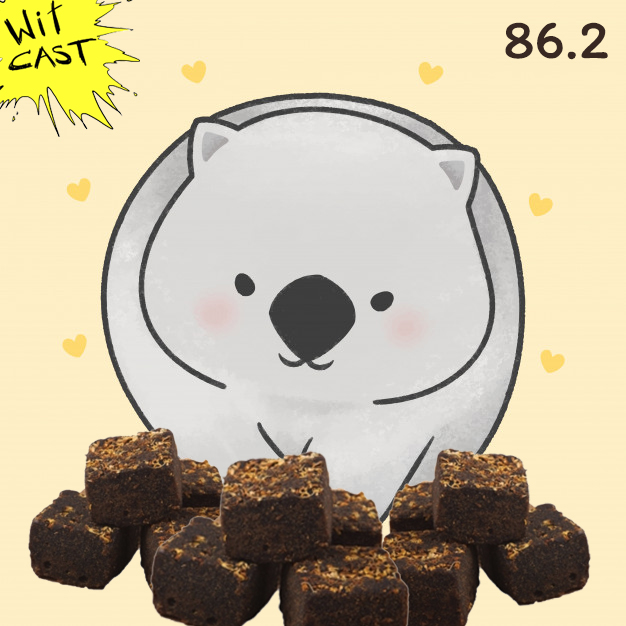 WiTcast 86.2 – ว่าด้วยระบาด / เก็บตก Ig Nobel / WiT Quizzz รูตูด