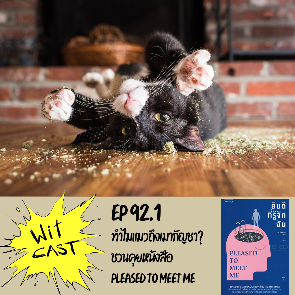 WiTcast 92.1 – จัดสด / ทำไมแมวถึงเมากัญชา / ชวนคุยหนังสือ Pleased to Meet Me