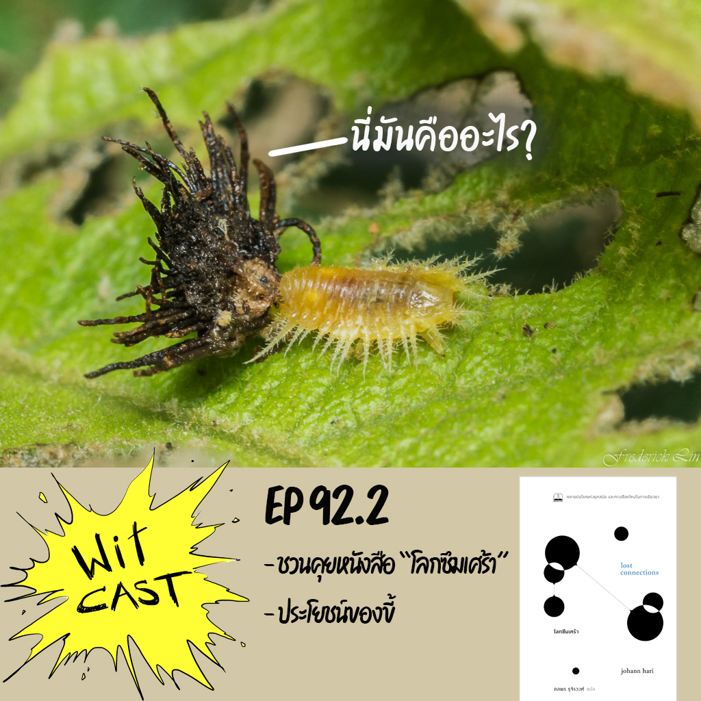 WiTcast 92.2 – คุยหนังสือ โลกซึมเศร้า (Lost Connections) + ประโยชน์ของขี้