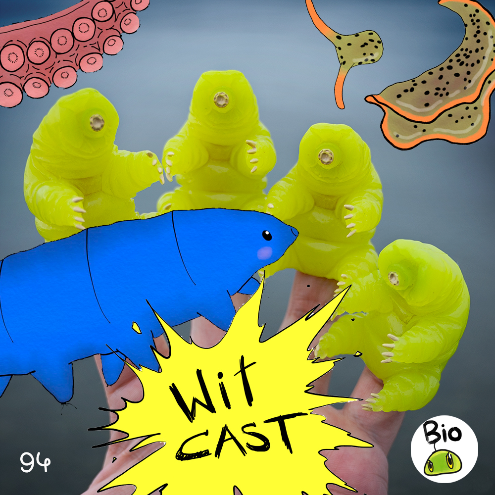 WiTcast 94.1 – หมีน้ำ/ทากกระสือ/ความฝันของปลาหมึก/กล้วยไม้ลามก Ft. ภัทร นี่แหละชีวะ & โอปป้าเปตอง