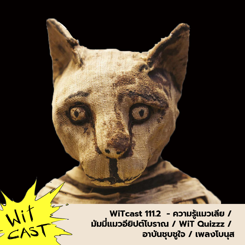 WiTcast 111.2 – ความรู้แมวเลีย / มัมมี่แมวอียิปต์โบราณ / WiT Quizzz / อาบันชุบชูใจ / เพลงโบนุส