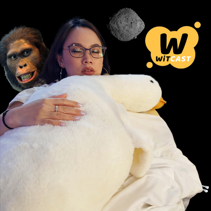 WiTcast 141 – สปอนเซอร์ Everyday Scoop / สังคมแบบตึง vs หย่อน / ลูซี่กินอะไร / ผลวิเคราะห์ Bennu / WiT Quiz