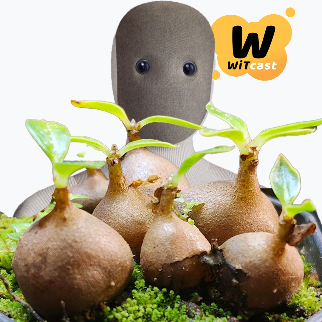 WiTcast 159 – อาบันปลูกกุหลาบ / ช้าก่อน Artificial Super Intelligence / หุ่นยนต์รับใช้ / พืชมด Ant Plant / WiT Quiz