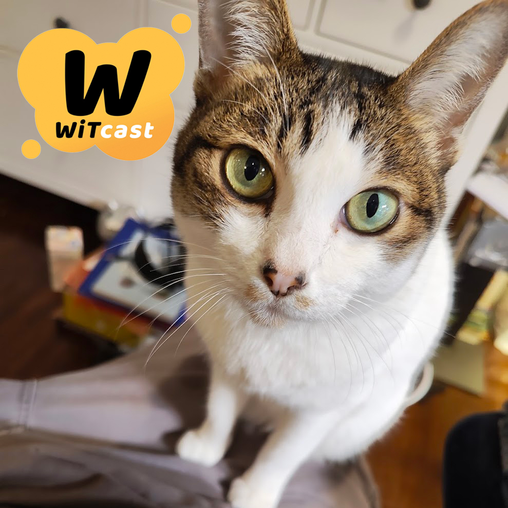 WiTcast 158 – กระจกอวกาศ / ตะกั่วกับสมองมนุษย์โบราณ / จิตวิทยาคนชอบหนังสยอง