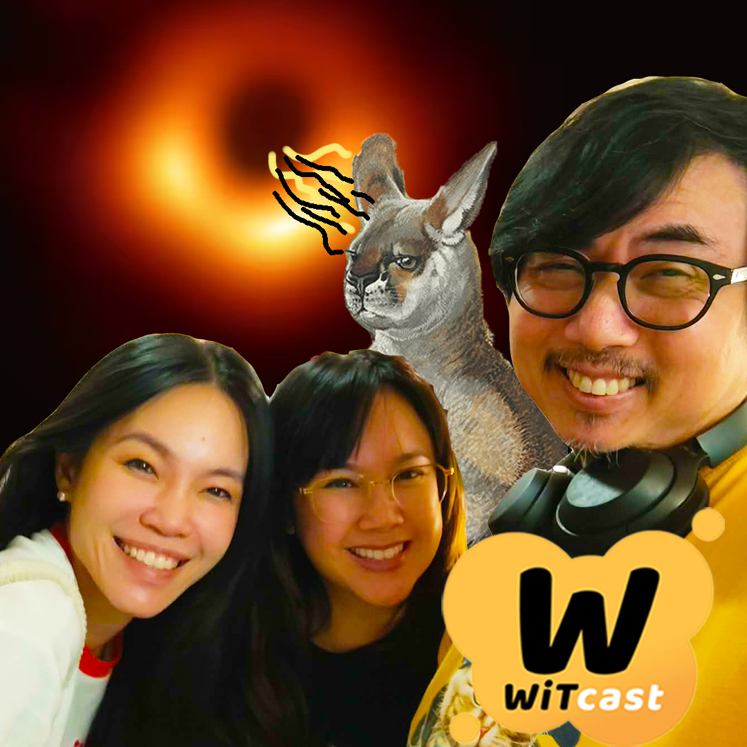 WiTcast 167 – เชอร์รี่มาฮาเฮ / หลุมดำ / BRAND APPÉTIT / จิงโจ้ยักษ์